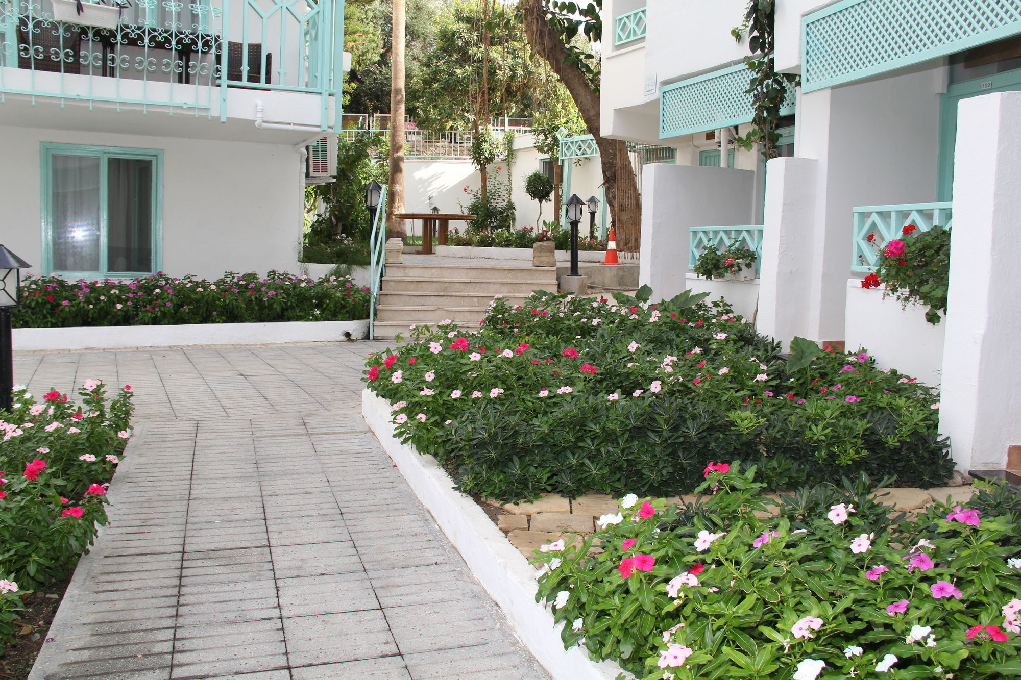 Side Kleopatra Hotel Exterior foto